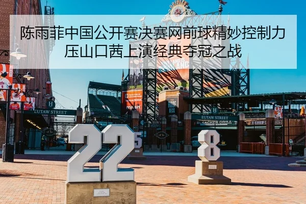 陈雨菲中国公开赛决赛网前球精妙控制力压山口茜上演经典夺冠之战